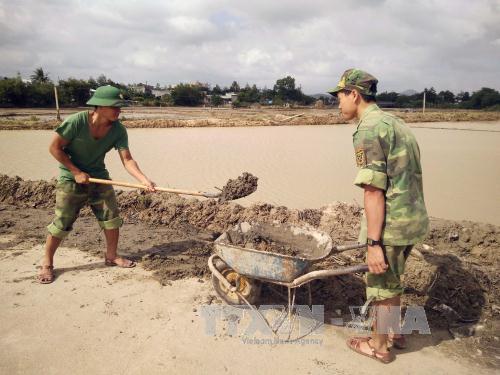 Bộ đội giúp dân khôi phục sản xuất sau lũ ảnh 1